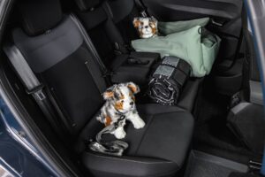 Dacia Striker - Bild 56